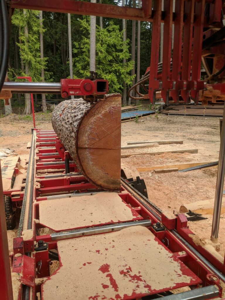 108059172 3140174889382661 1517688589607408031 n 768x1024