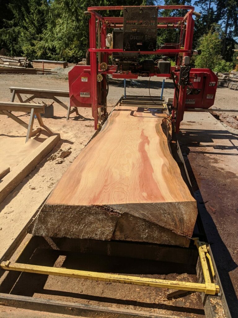 118406681 3252291424837673 6659233564644112880 n 768x1024