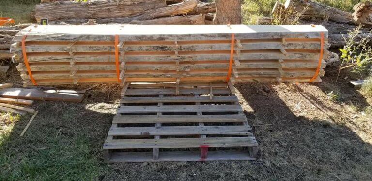 118806993 326910112087123 6950830279556656038 n 768x373