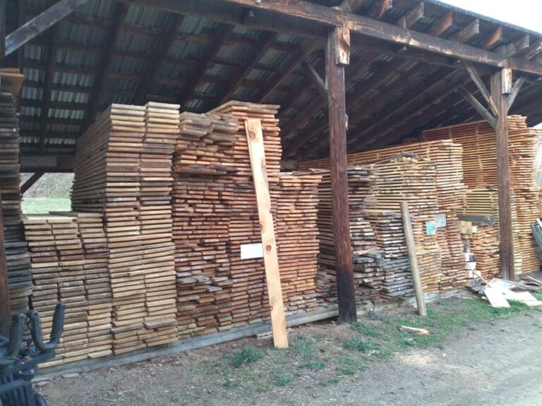 171664263 4011253222265350 6230810763522720274 n 768x576