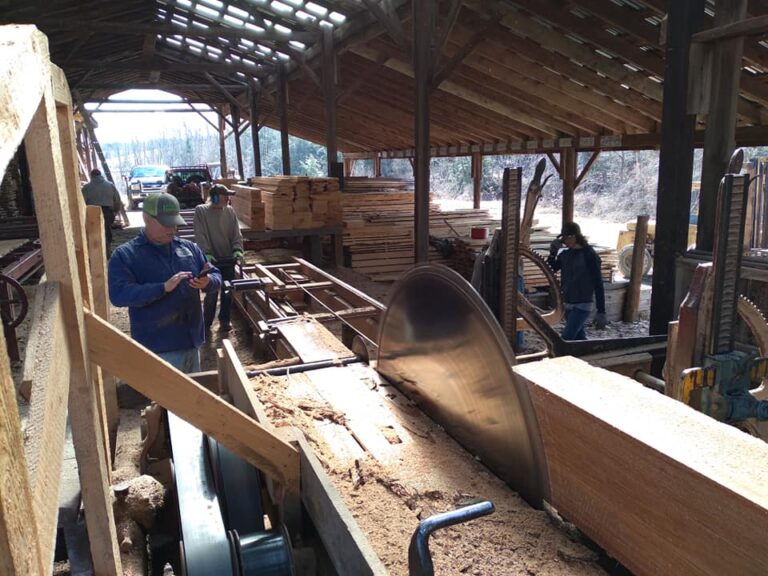 171717478 4011262798931059 4852161793465484157 n 768x576