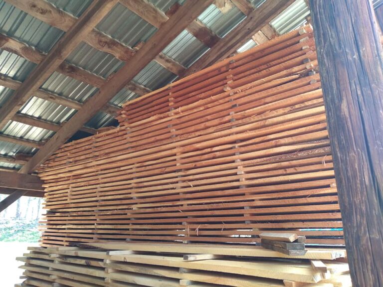 171802085 4011253408931998 7319211448949165493 n 768x576