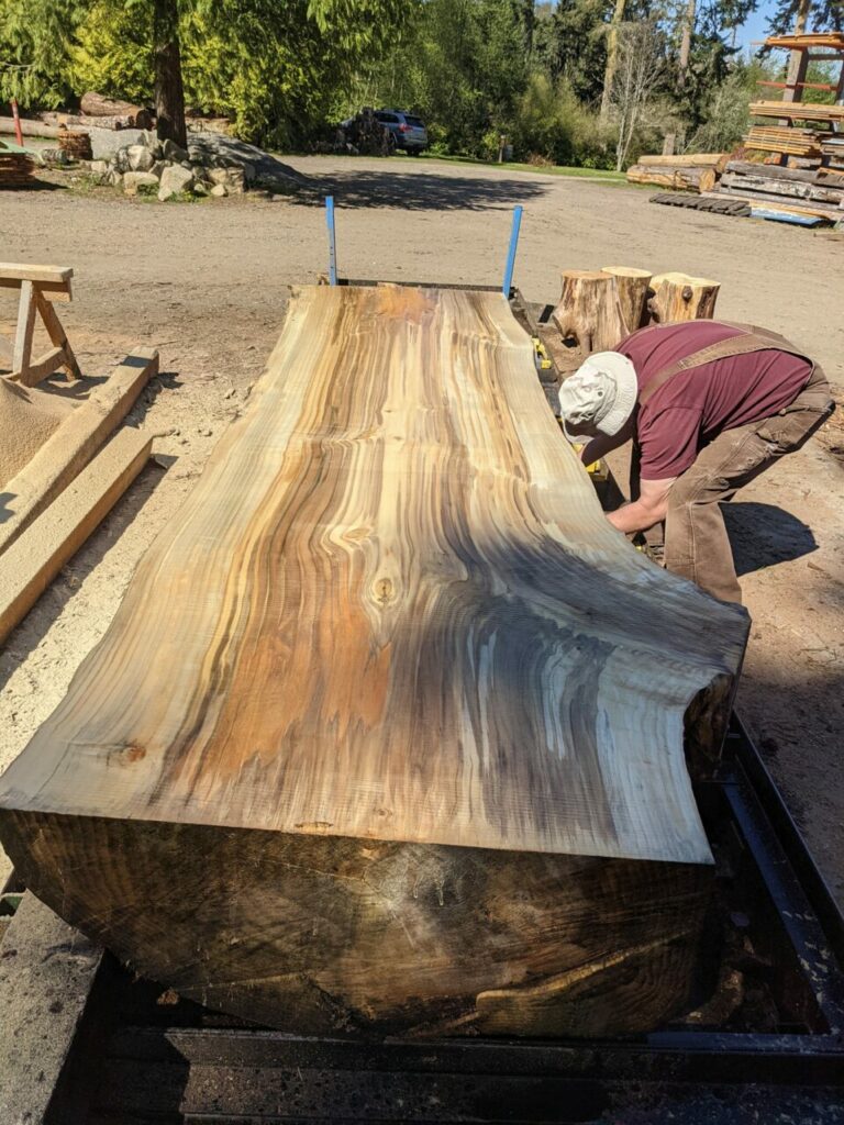 175863731 3932970666769742 8013432517548014624 n 768x1024