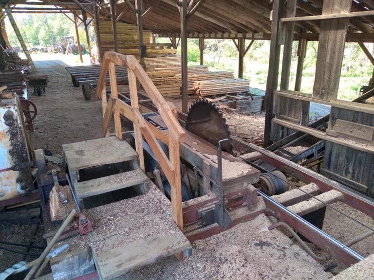 191626451 4144329862291018 8304285041675281393 n 768x576