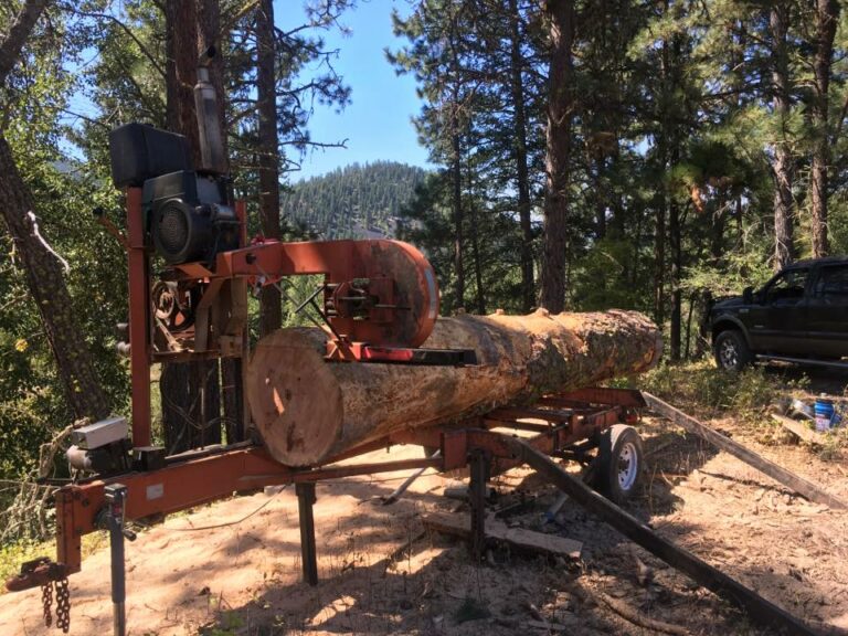 21369307 129286857706810 3187215825719983666 n 768x576