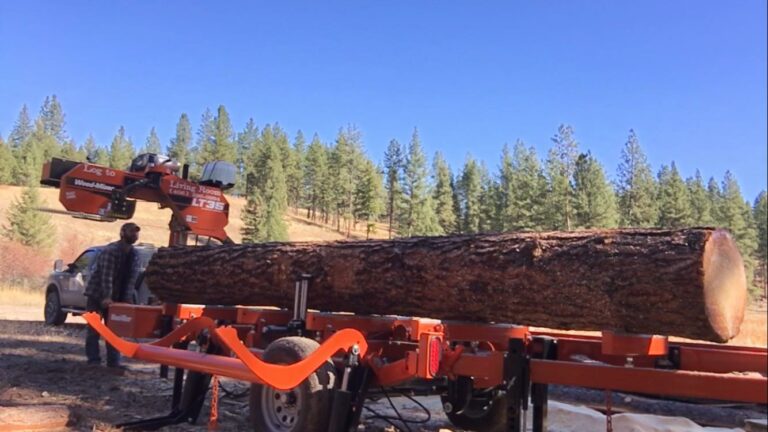 22519710 139219296713566 5511058921789607025 o 768x432