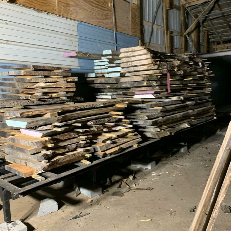 241754681 224366772991324 6538145648583323227 n 768x768