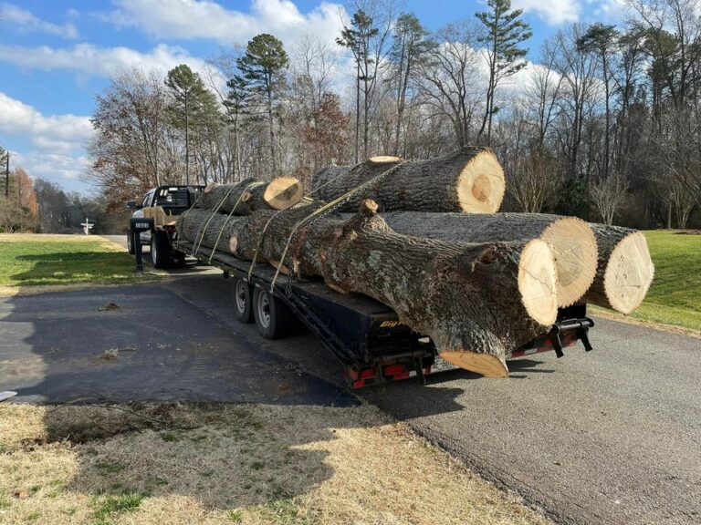 271651244 963040594624688 5428442759557772824 n 768x576