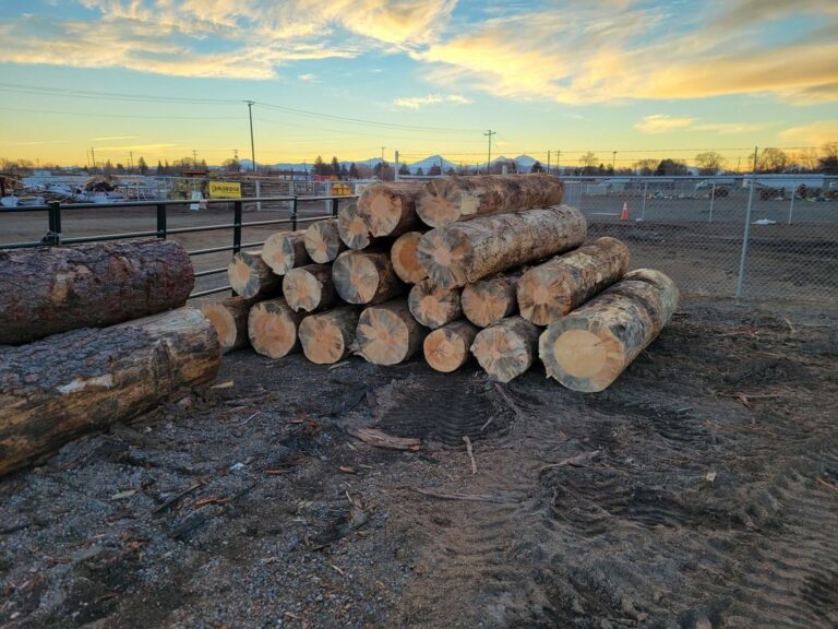 272100865 450874686575730 198346018683060894 n 768x576