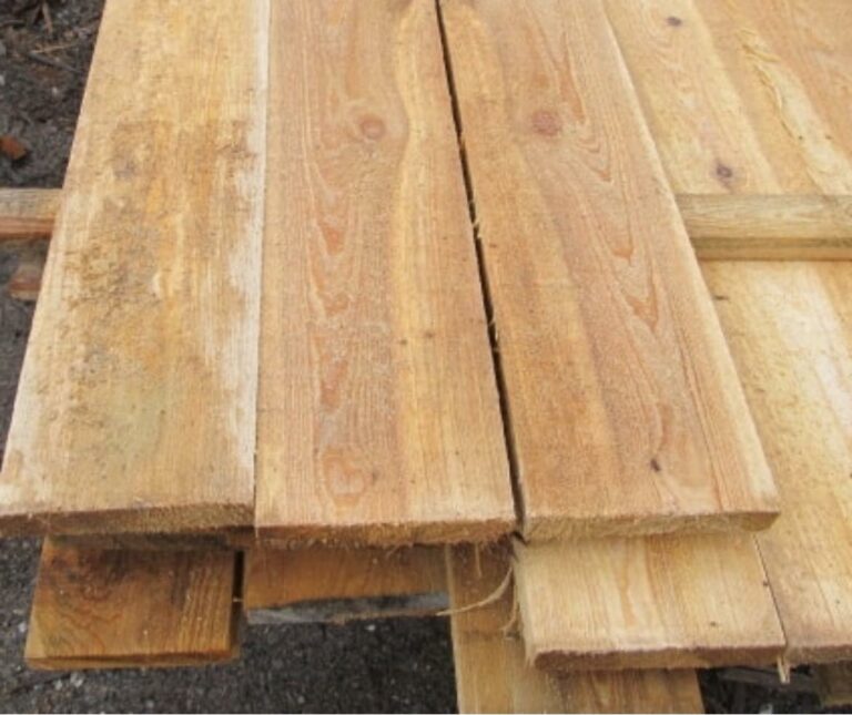 275660981 4864499866979828 3036196316579691553 n 768x645