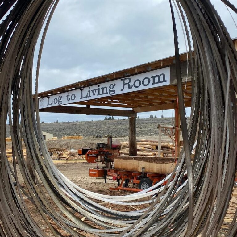 276151987 986240102011477 1486907481961893304 n 768x768