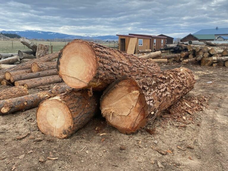 277576582 992140714754749 5463439478101223327 n 768x576