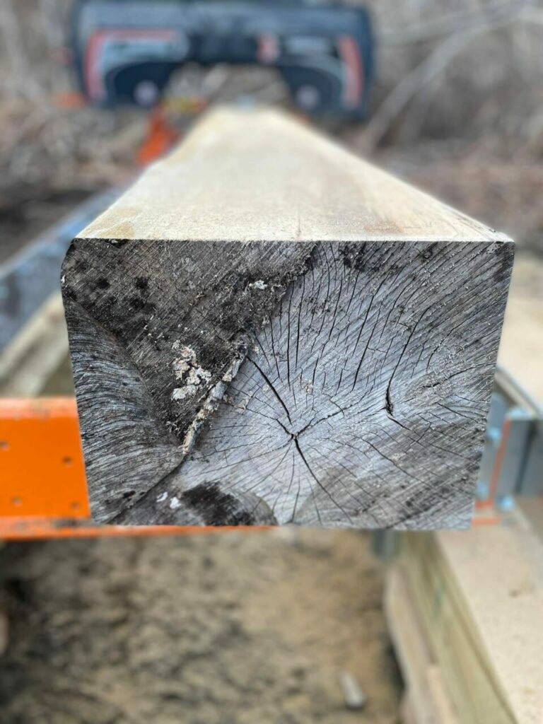 277579179 4930026100427204 5396215658932589633 n 768x1024