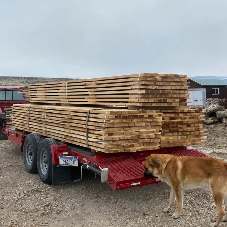 277762169 1000287743940046 7671078151865989836 n 768x768