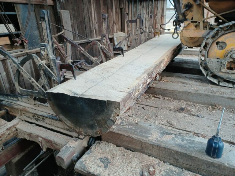 277772779 5150384015018926 6523997266183218794 n 768x576