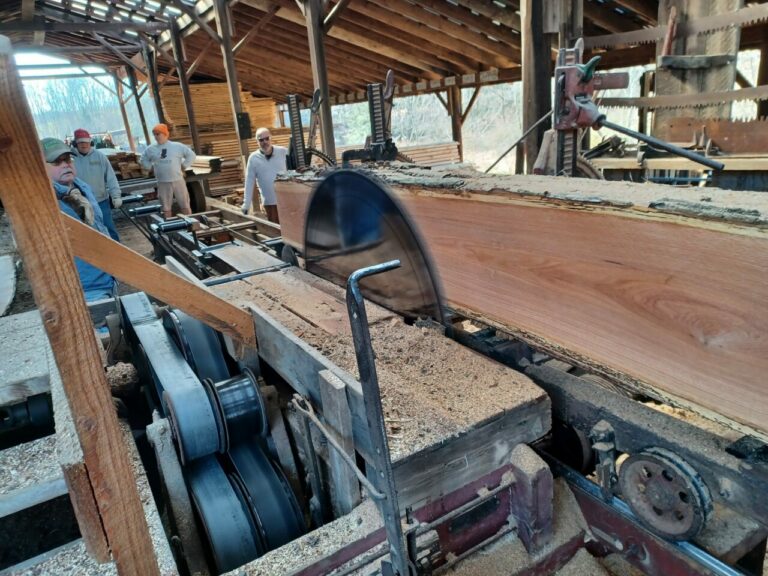 277780374 5150382568352404 3133412465610573670 n 768x576