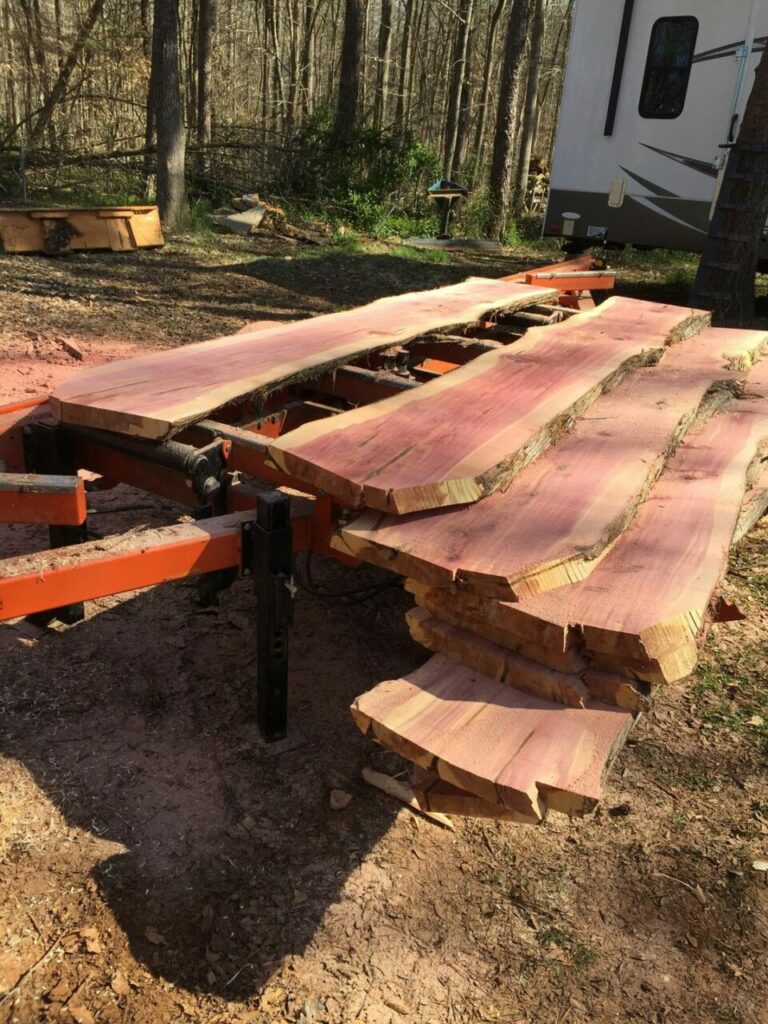 277787867 436950088230199 1853430582209853555 n 768x1024