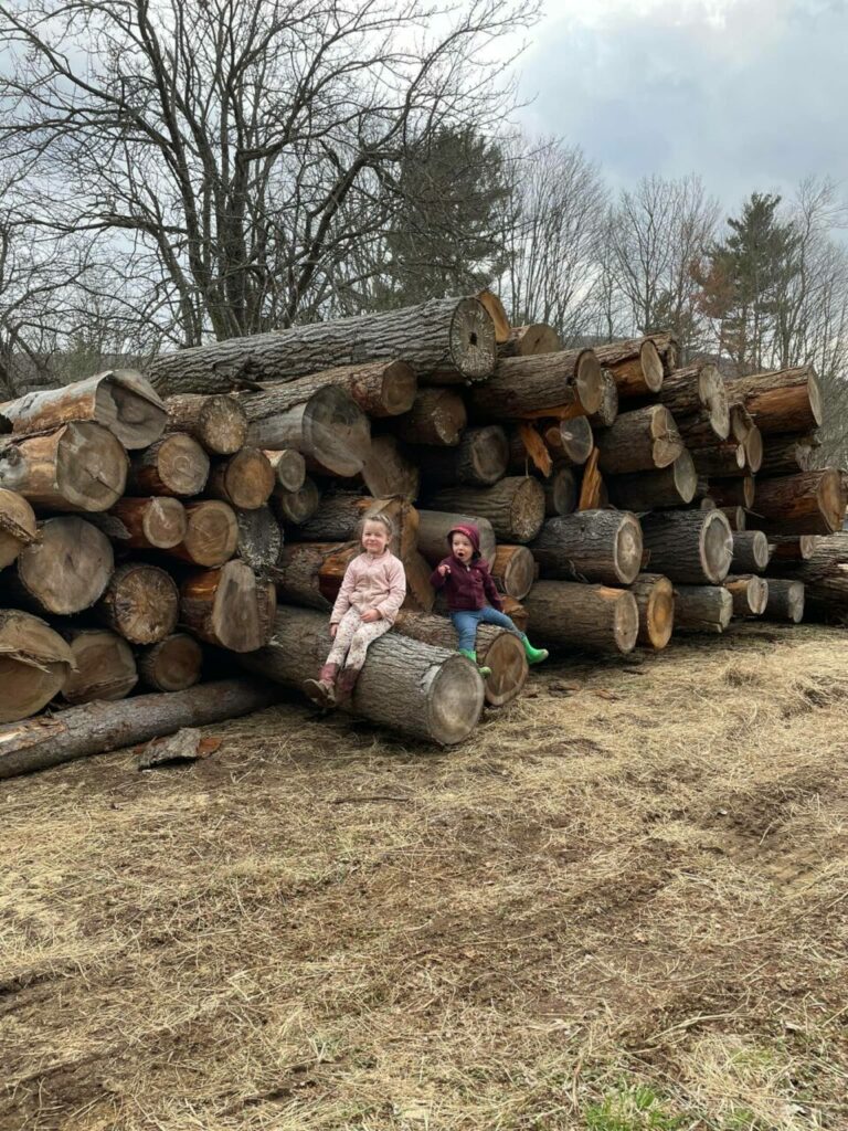 278131473 4958921177537696 5324998191143505353 n 768x1024