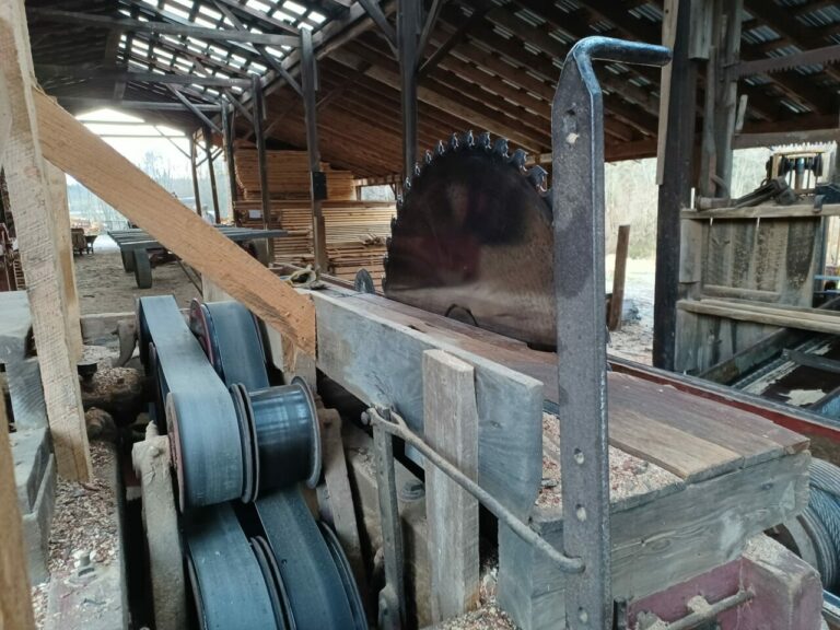 278262870 5150383635018964 6164674507381984621 n 768x576