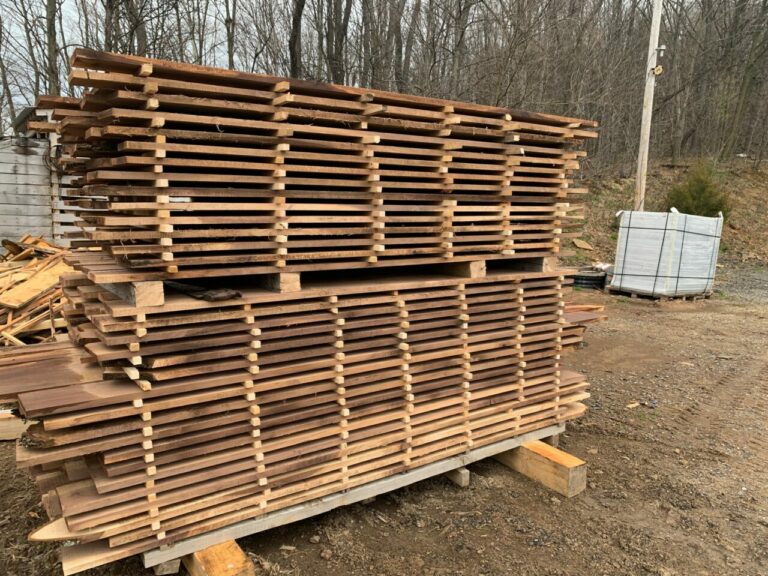 278342677 127511246530905 8689049452069781431 n 768x576