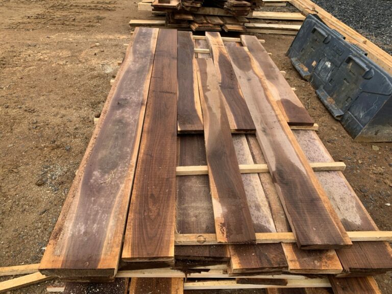 278378086 127511249864238 7374225357714276737 n 768x576