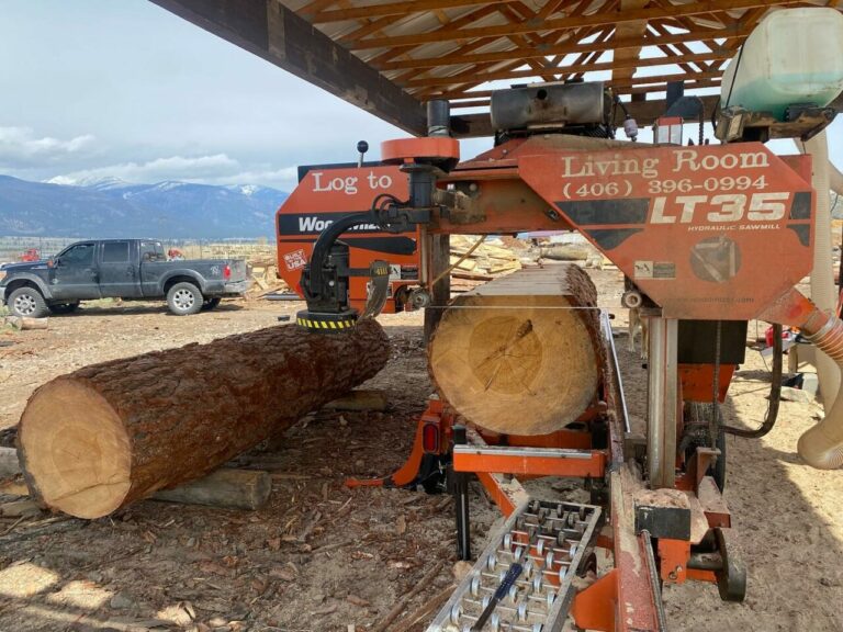 279146561 1008439263124894 8134279748007297318 n 768x576