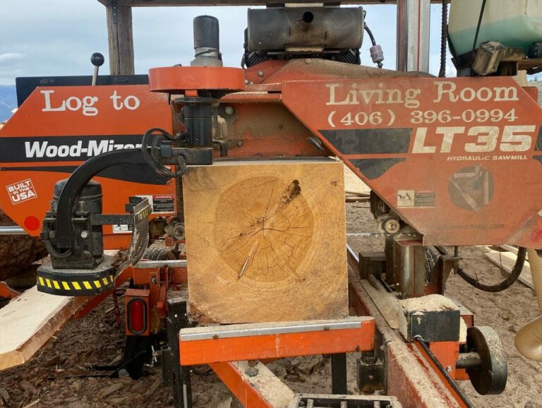 279248362 1008439259791561 2812693022250328881 n 768x578