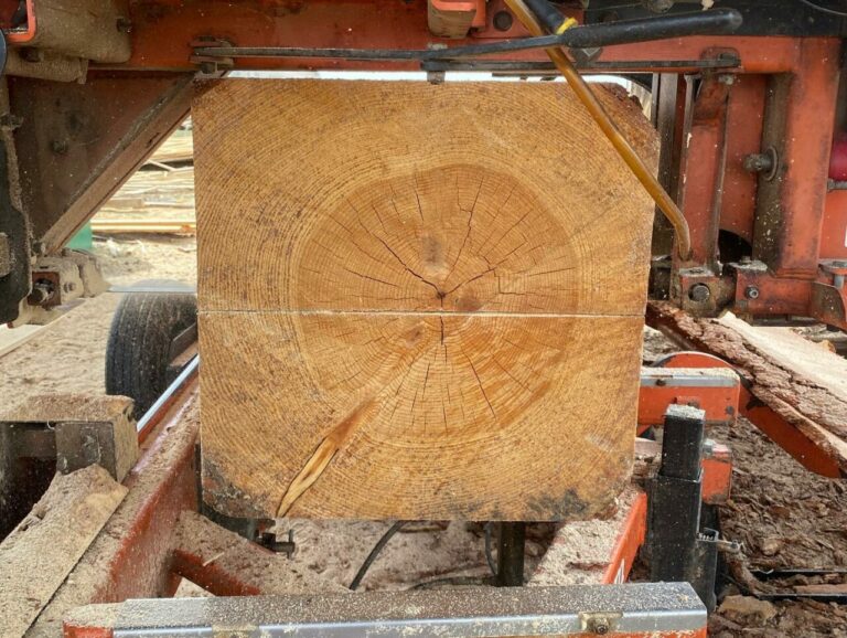 279504693 1008439256458228 51392300148015956 n 768x578