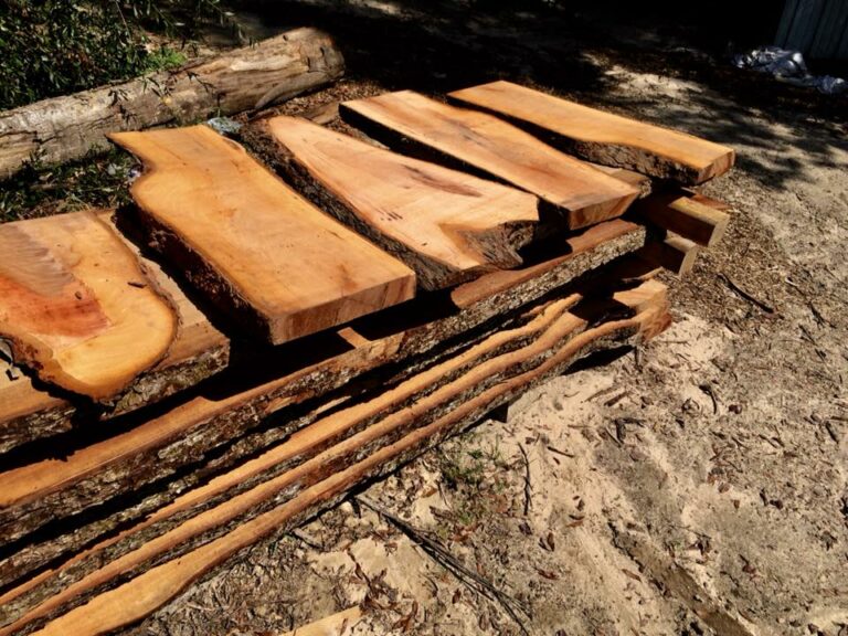 39900016 488798248258962 547492507856928768 n 768x576