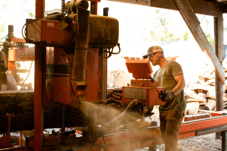 57c2ae1a 31de 48b9 9c3c 0e143db902c6 768x512