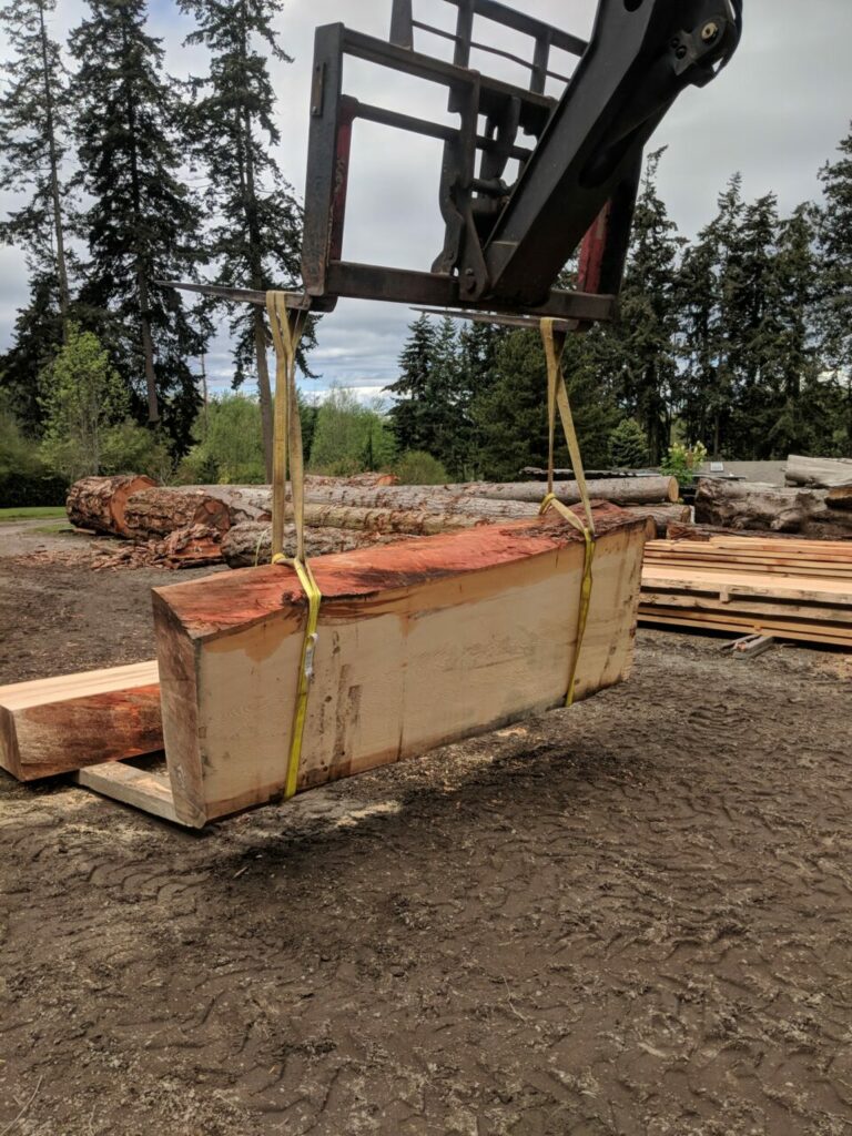 58442983 2210071075726385 6413750890196369408 n 768x1024