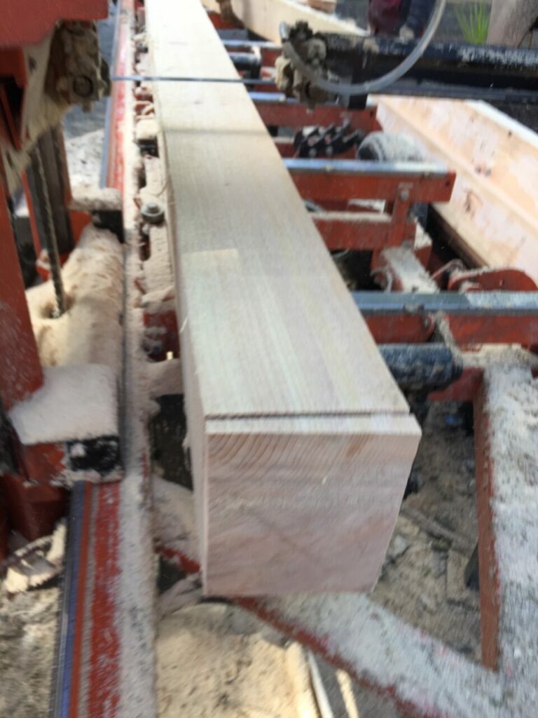 66E677E9 63AD 4257 9185 8A6F1C58A6EB 768x1024