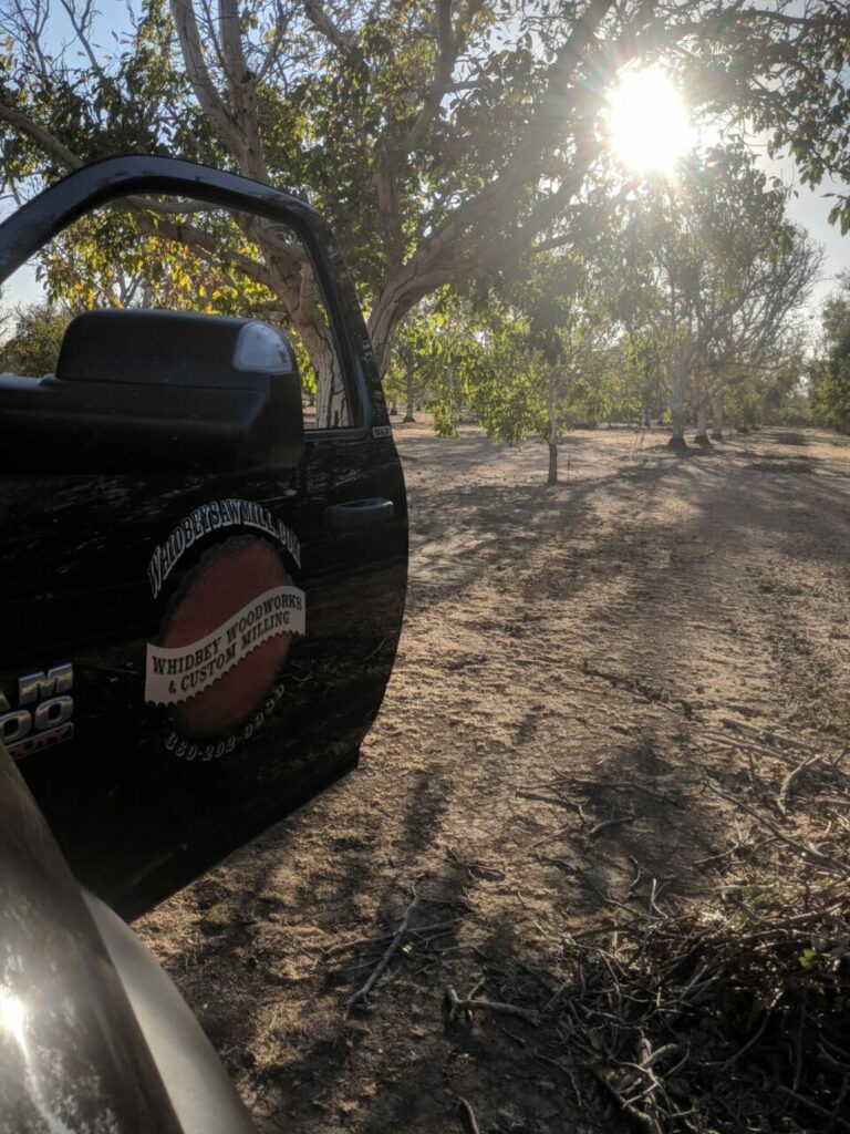 72262658 2565381953528627 3431837778998984704 n 768x1024