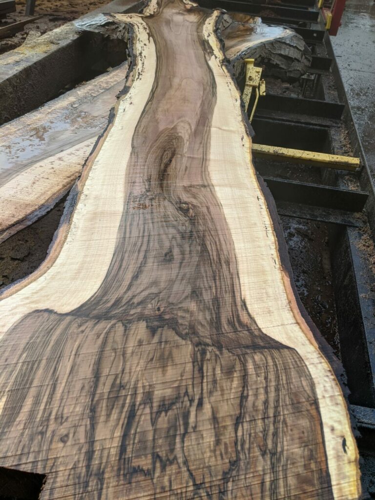 75323377 2580356185364537 2853461419741937664 n 768x1024