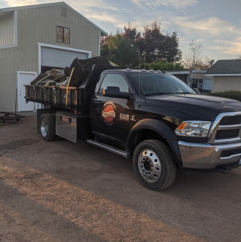 76779606 2610931188973703 3661600322968616960 n 768x771