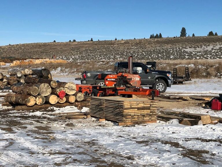 83091671 522577501711075 8686663444553793536 n 768x576