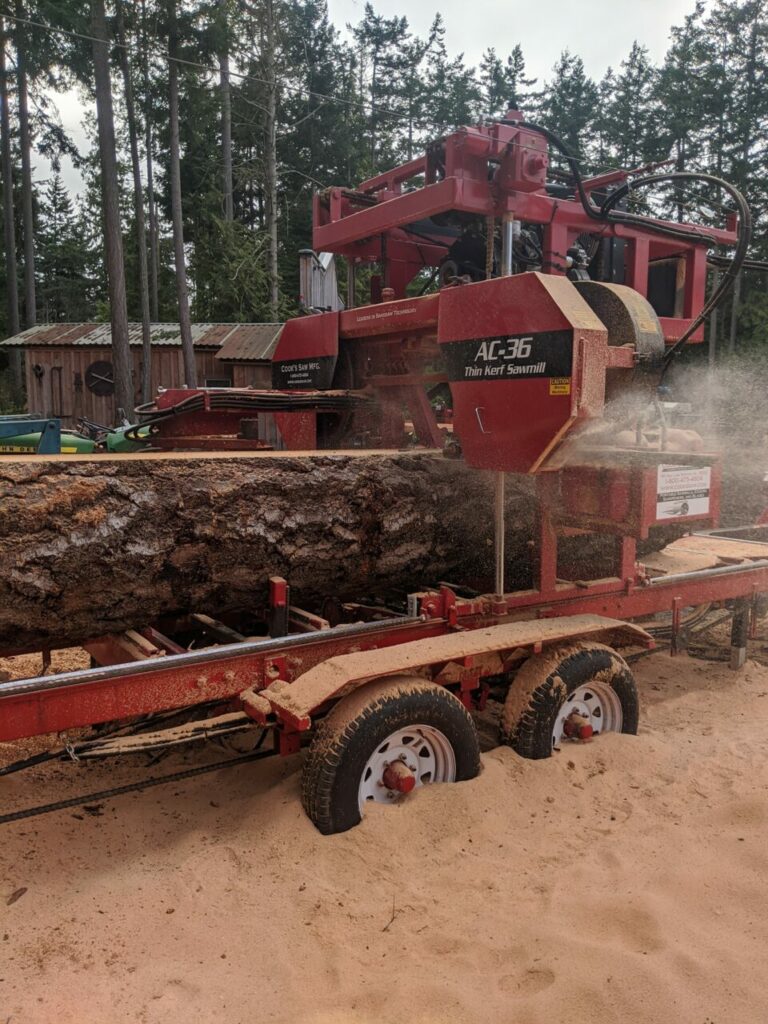 86788737 2790729310993889 395155605620260864 n 768x1024