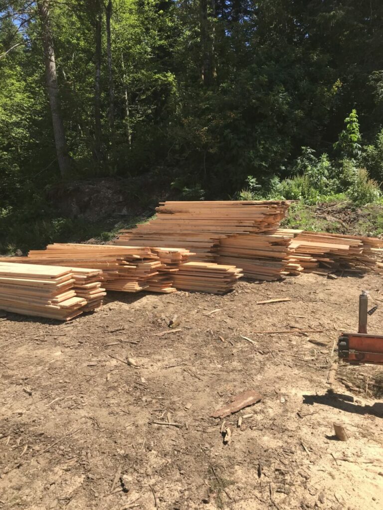 9430F372 C63B 464C 9B0B A071696B8476 768x1024