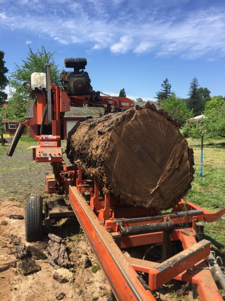 F7C6EFFE 4135 4F17 80C7 F3D6D7D77E3A 768x1024