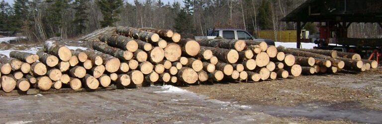 Log Pile Before Sawing 920x300 1 768x250