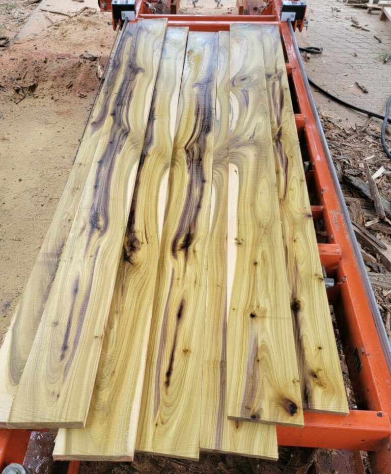 poplar sawmillhill 768x930
