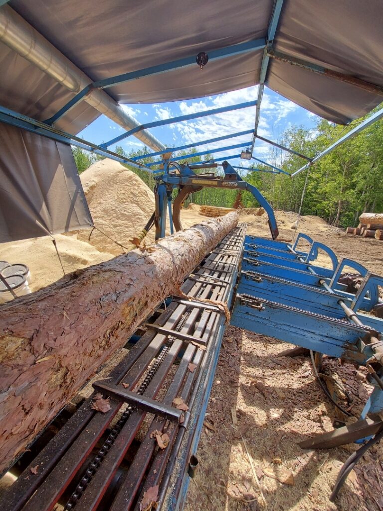 hulls sawmill long timber on sawmill 768x1024