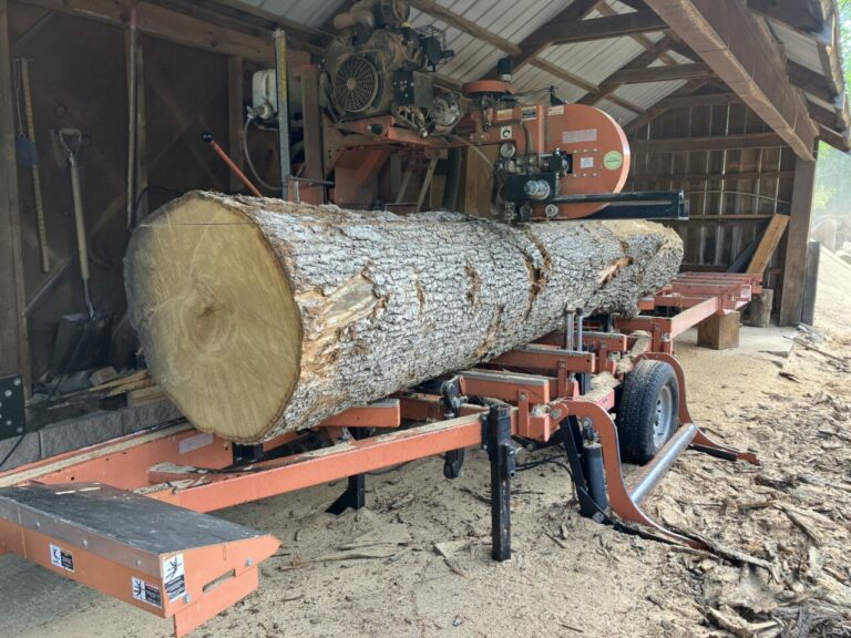 087D0E3D E2F6 4ED4 B04A 4D7781A68A46 768x576