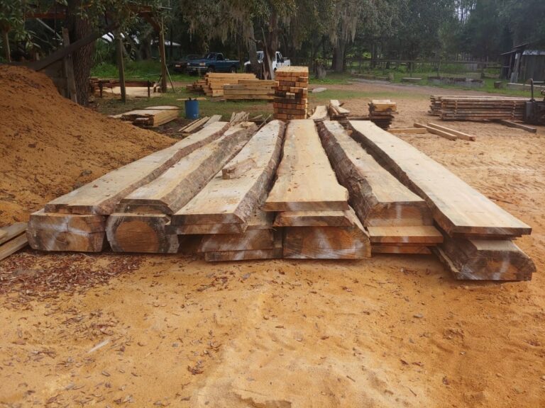 106120544 1572105426294732 4114789548743852461 n 768x576