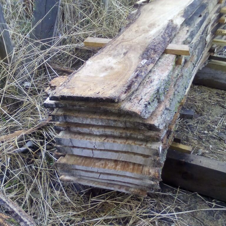 125411181 183536963381861 7749137421068307191 n 768x768