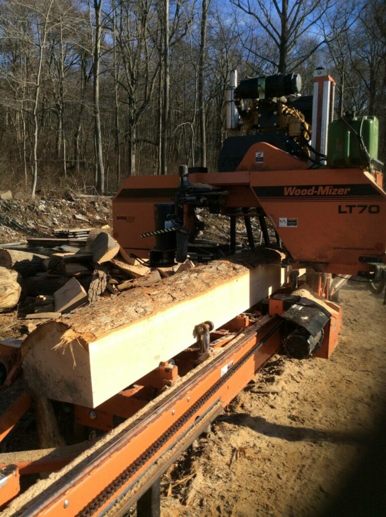 15994959 1216001915120803 1031085272803530901 o 768x1028