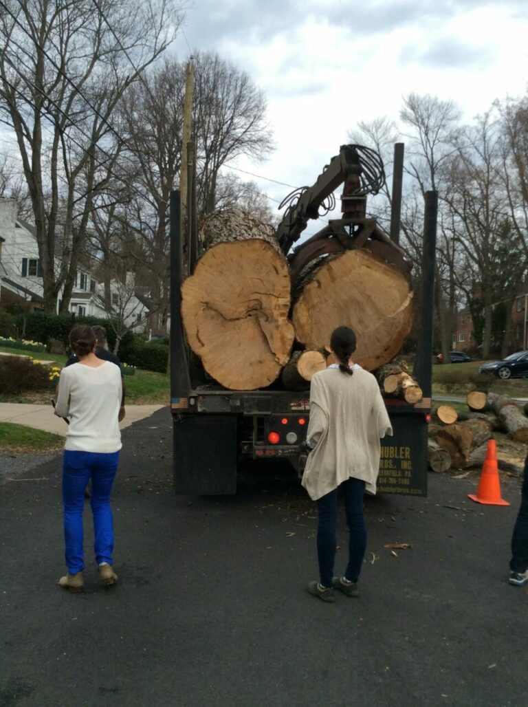 16992134 1260354360685558 6061604847734614237 o 768x1028