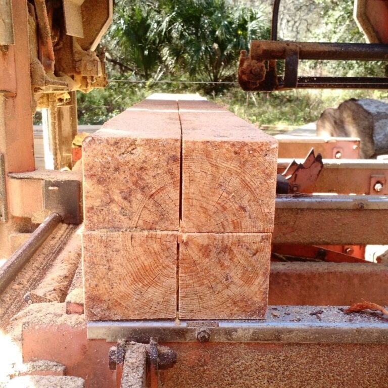 188375097 1838148393023766 5307114922233739584 n 768x768