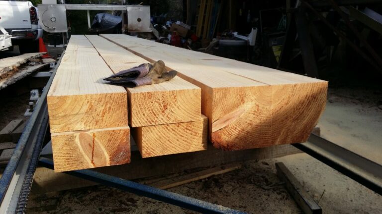 2020 02 20 16.05.31 768x432