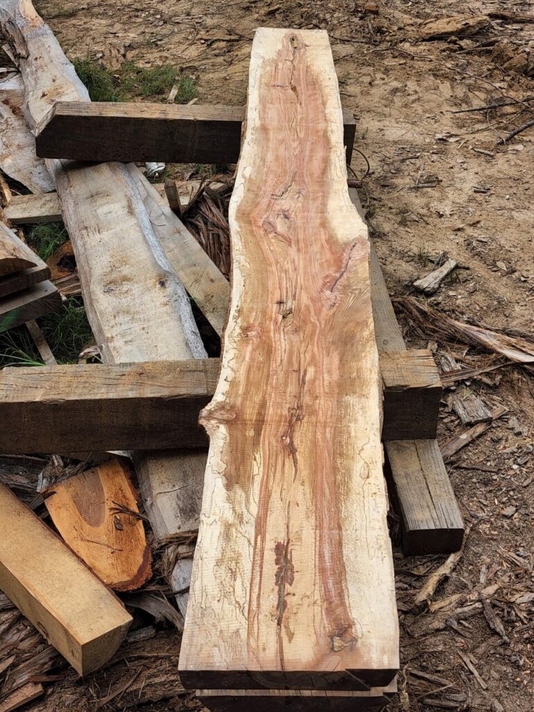 20220608 104639 768x1024